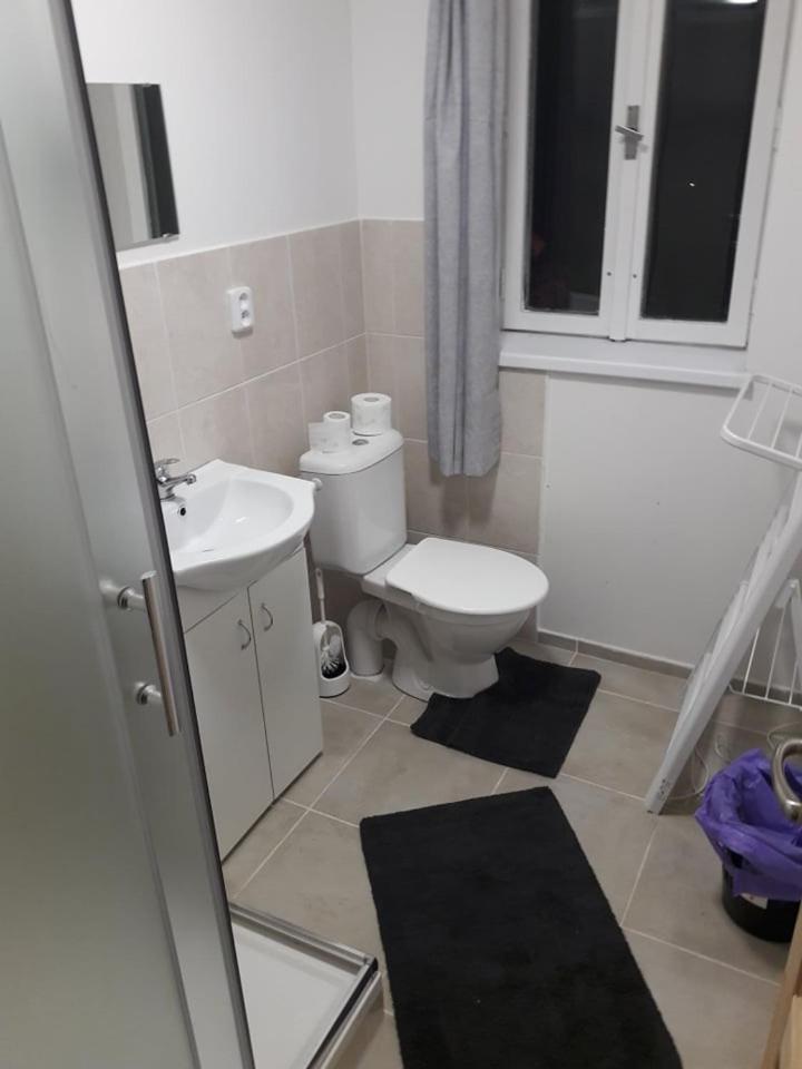 Apartman Pod Marianskou Horou Desna  Exterior photo
